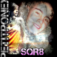 sQr8