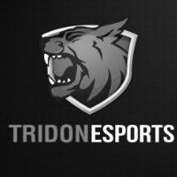 TRIDON.esport`