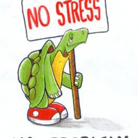 No Stress