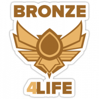 Road to bronze IV